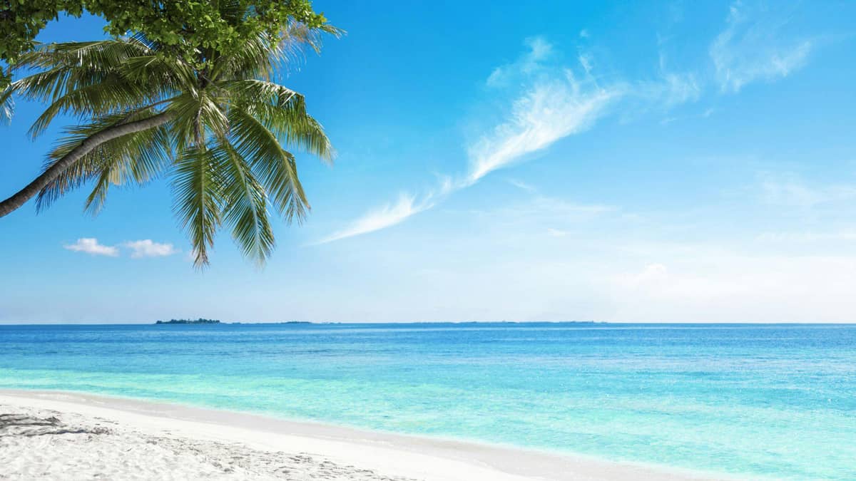 Suva – Fiji’s Cultural Heart